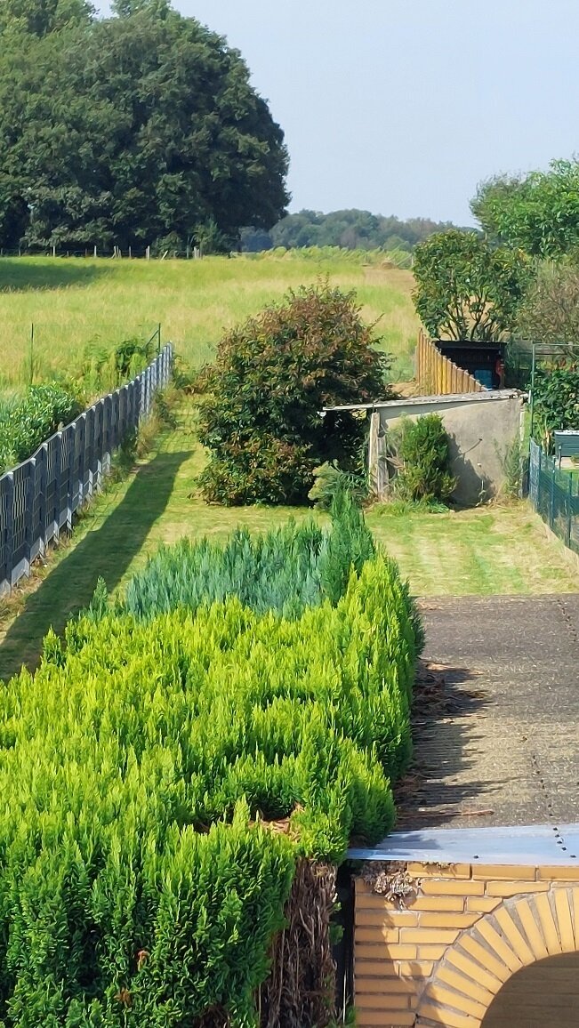 Naturnaher Garten